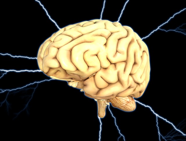 Brain Energy with Tao Ultra Nootropics