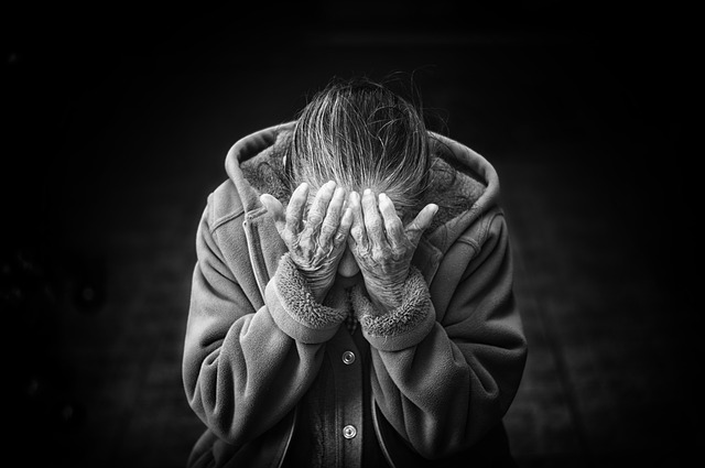 78 Dihydroxyflavone depression
