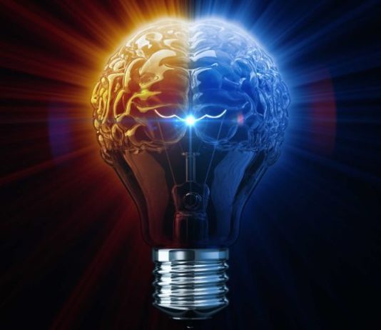A Complete Guide To: VITAEDGE Brain Supplement