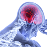 The 7 Finest Nootropics(Sensible Medication) available in the market of 2018