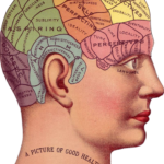 Utilizing Vitamins and Nootropics: “Improve Mind Power and Temper”
