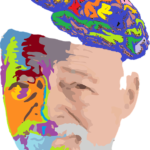Sexual and emotional perform: Hormone Alters Male Brain Function