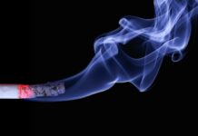 Is nicotine a nootropic? Is nicotine a nootropic?