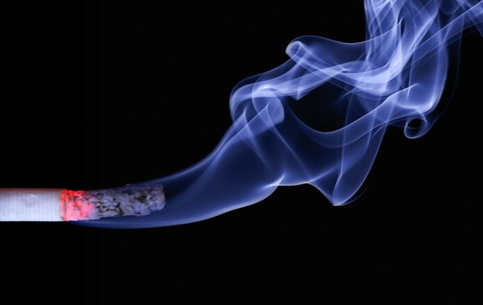 Is nicotine a nootropic?