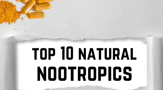 We Have Found Top 10 Natural Nootropics