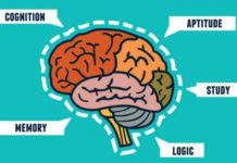 My Present Verdict on Nootropics